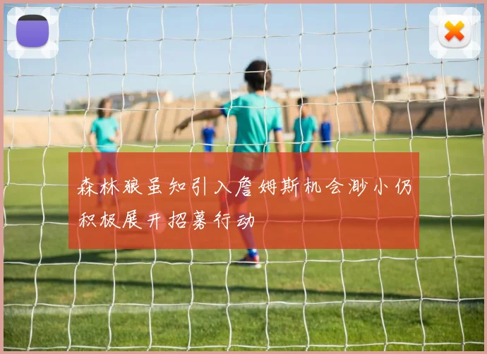 森林狼虽知引入詹姆斯机会渺小仍积极展开招募行动